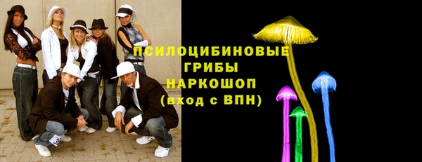мдпв Майский