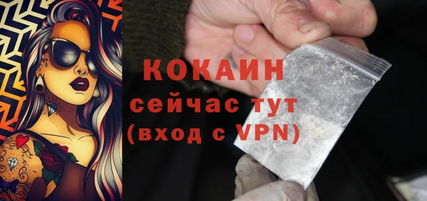 мдпв Майский